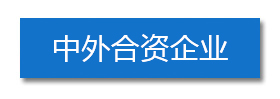 中外合資企業